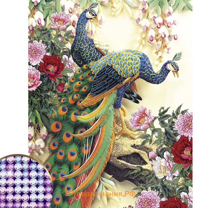 Алмазная мозаика с частичным заполнением «Павлины», 30 х 40 см, 26 цветов страз