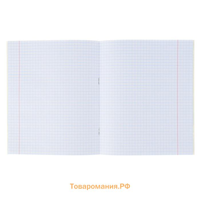 Тетрадь 18 листов в клетку Calligrata «Смайлики», обложка мелованный картон, МИКС
