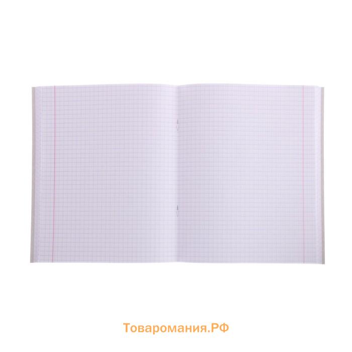 Тетрадь 96 листов в клетку Calligrata Notebook, обложка мелованный картон, блок офсет, МИКС