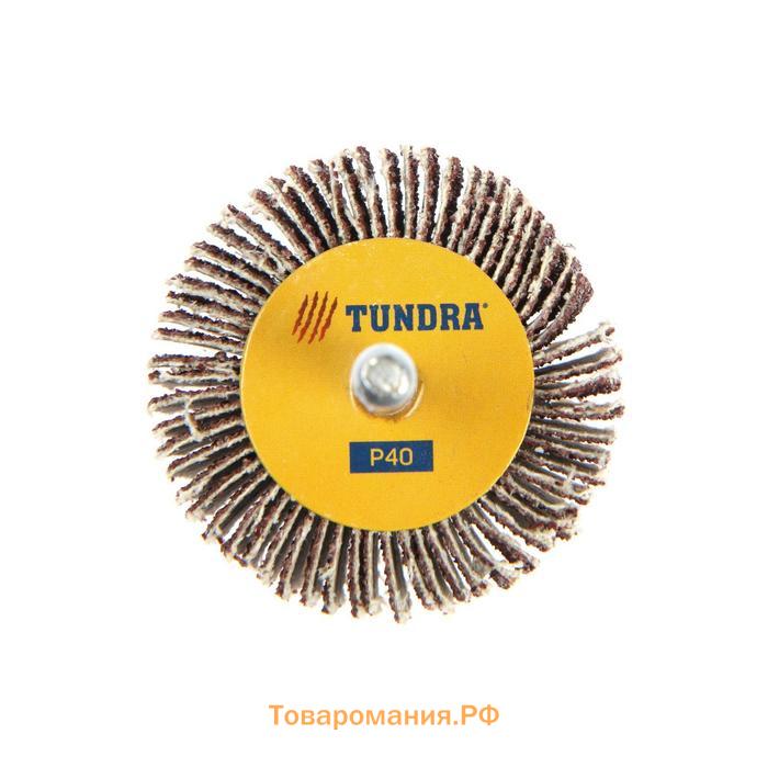 Круг лепестковый радиальный ТУНДРА, 50 х 30 х 6 мм, Р40