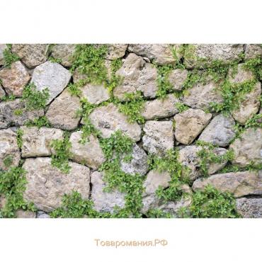 Фотобаннер, 300 × 200 см, с фотопечатью, люверсы шаг 1 м, «Каменная стена»