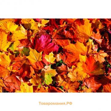 Фотобаннер, 300 × 200 см, с фотопечатью, люверсы шаг 1 м, «Осенние листья 1»