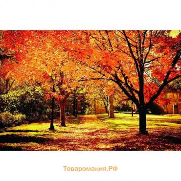 Фотобаннер, 300 × 200 см, с фотопечатью, люверсы шаг 1 м, «Осенняя аллея»