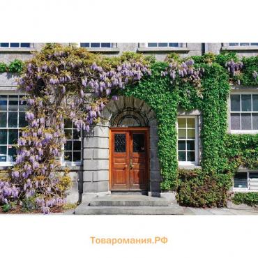 Фотобаннер, 300 × 200 см, с фотопечатью, люверсы шаг 1 м, «Фасад в цветах»