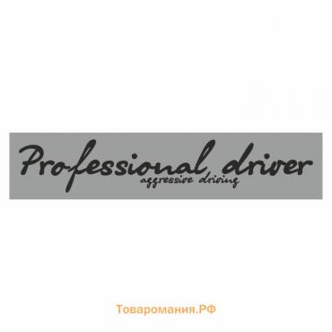 Полоса на лобовое стекло "Professional driverf", серебро, 1300 х 170 мм